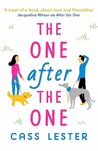 The One After the One cover