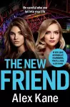 The New Friend cover