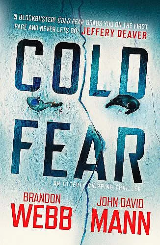 Cold Fear cover