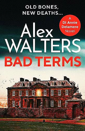 Bad Terms cover