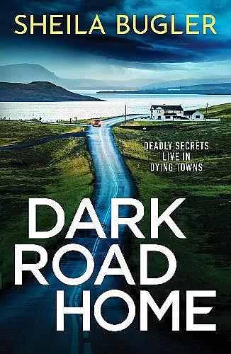 Dark Road Home cover