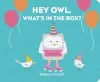Hey Owl, What’s in the Box? cover