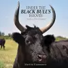 Under the Black Bull’s Hooves cover