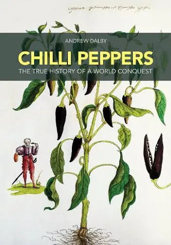 Chilli Peppers cover