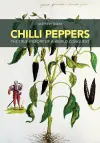 Chilli Peppers cover