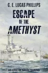 Escape of the Amethyst cover