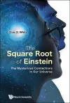 The Square Root Of Einstein: The Mysterious Connections In Our Universe cover