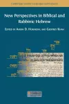 New Perspectives in Biblical and Rabbinic Hebrew cover
