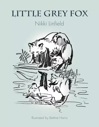 Little Grey Fox cover