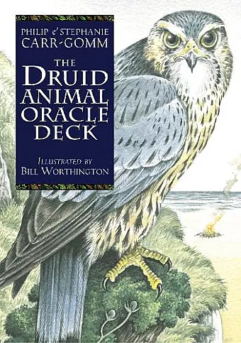 The Druid Animal Deck cover