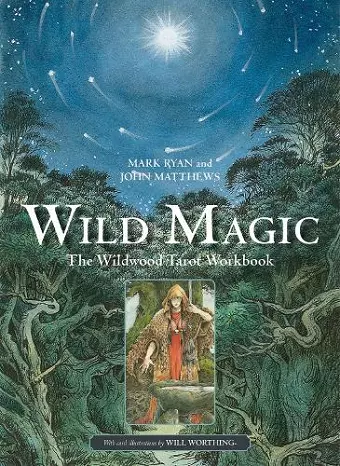 Wild Magic cover