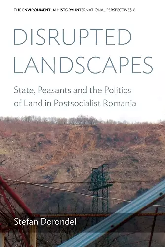 Disrupted Landscapes cover