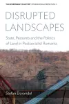 Disrupted Landscapes cover