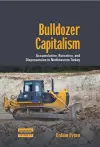 Bulldozer Capitalism cover