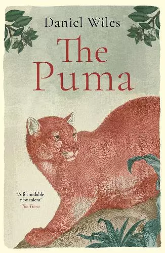 The Puma cover