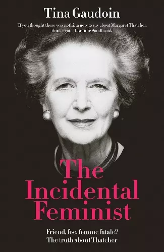 The Incidental Feminist cover