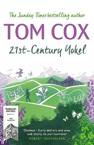 21st-Century Yokel cover