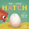Pop and Peek: Hatch cover