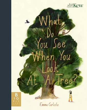 What Do You See When You Look At a Tree? cover