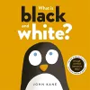 What is Black and White? cover