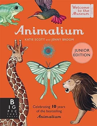 Animalium (Junior Edition) cover