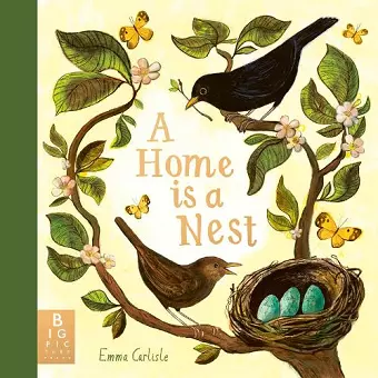 A Home Is A Nest cover