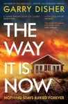 The Way It Is Now cover