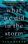 What We Did In The Storm cover