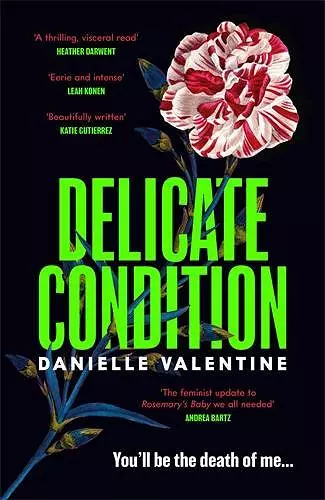 Delicate Condition cover