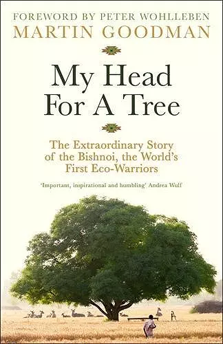 My Head For A Tree cover