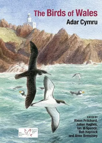 The Birds of Wales cover