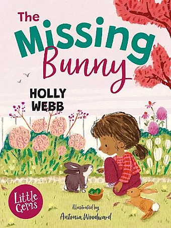 The Missing Bunny cover