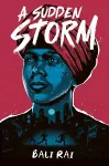 A Sudden Storm cover