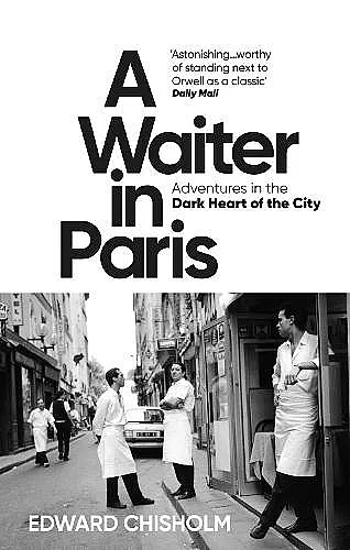 A Waiter in Paris cover