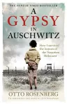 A Gypsy In Auschwitz packaging