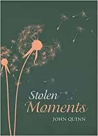 Stolen Moments cover