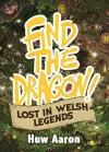 Find the Dragon! Lost in Welsh Legends cover