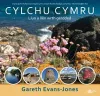 Cylchu Cymru cover