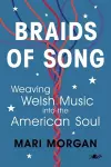 Braids of Song cover