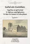 Gofal ein Gwinllan cover