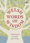 Welsh Words of Wisdom - Inspirational proverbs from Wales cover