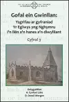 Gofal ein Gwinllan 3 - Ysgrifau ar gyfraniad Yr Eglwys yng Nghymru i'n llên a'n hanes a'n diwylliant cover