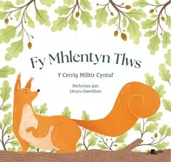 Fy Mhlentyn Tlws cover
