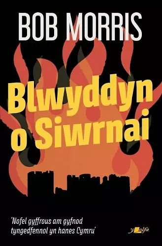 Blwyddyn o Siwrnai cover