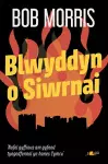 Blwyddyn o Siwrnai cover