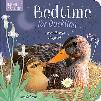 Bedtime for Duckling cover