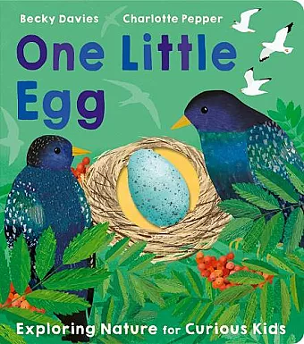 One Little Egg cover