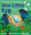 One Little Egg cover