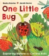 One Little Bug cover
