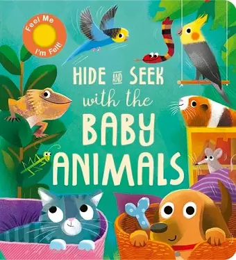 Hide and Seek with the Baby Animals cover